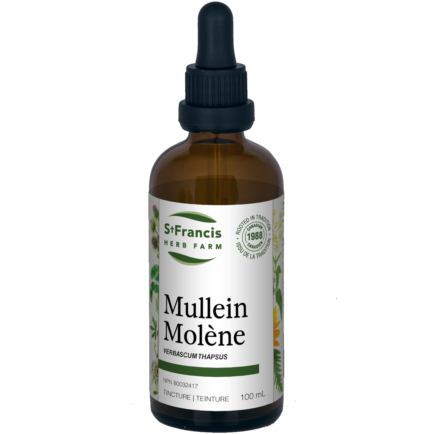 Mullein Tincture, 50 mL (St. Francis)